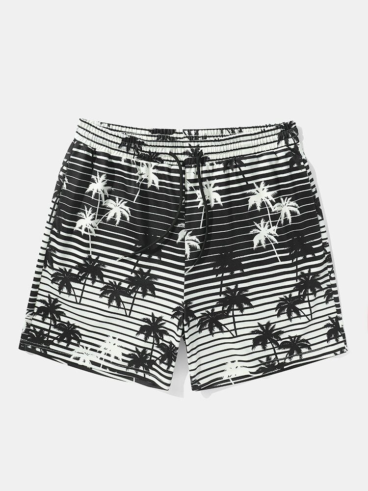 Coconut Tree Striped Print Holiday Loose Shorts Med Snøring For Menn