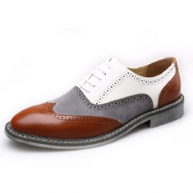 Menn Brogue Colorblock Oxfords Snøring Business Casual Formell Sko