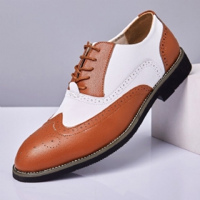 Menn Skinn Vintage Brogue Gravert Britisk Snøring Business Dress Sko